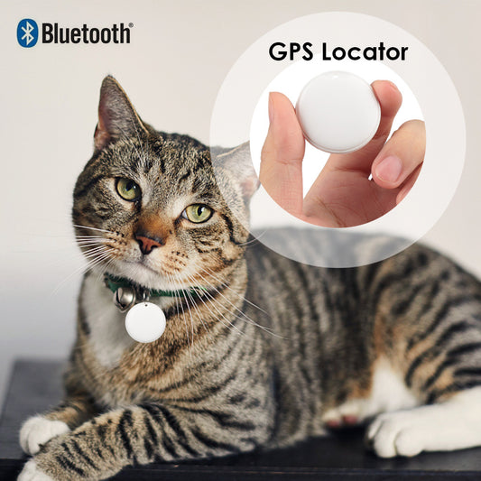 Pet GPS Tracker Tag